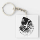 Recherche de nautilus porteclés Coquillage