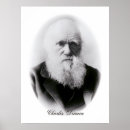Recherche de naturaliste art Évolution