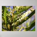 Recherche de nouveaux débuts posters Vert