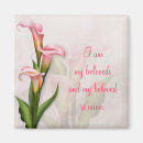 Recherche de zantedeschia rose Lis