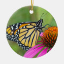 Recherche de papillon de monarque ornements Jardin