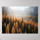 Recherche de vue de la terre posters Nature