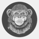 Recherche de chimpanzés autocollants Drôle