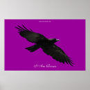 Recherche de corvids posters Corvidés