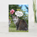 Recherche de humour jardin anniversaire cartes Chat