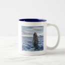 Recherche de bosses tasses Bleu