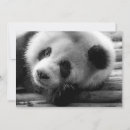 Recherche de panda géant vœux cartes Noir et blanc