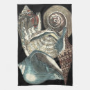 Recherche de coquillage cuisine linges Coquille