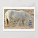 Recherche de poneys cartes postales Pour tous
