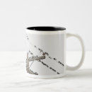Recherche de oiseaux tasses Observation d'oiseau