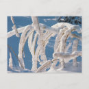 Recherche de brindilles cartes postales Hiver