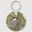 Recherche de chickadee porteclés Oiseau