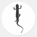 Recherche de amphibie Lézard
