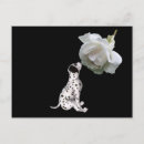 Recherche de chien dalmatien cartes postales Animal