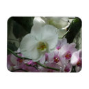 Recherche de orchidée magnets Nature