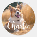 Recherche de chien de garde autocollants Animal