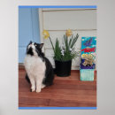 Recherche de chat jaune posters Pour enfants