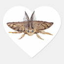 Recherche de entomologie autocollants Papillon