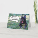 Recherche de car anniversaire cartes Soixante