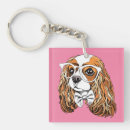 Recherche de épagneul porteclés Chien