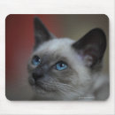 Recherche de france électronique Animal