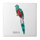 Recherche de illustration carreaux Oiseau