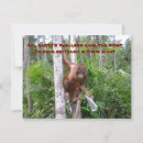 Recherche de menace vœux cartes Nature