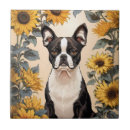 Recherche de boston carreaux Animal