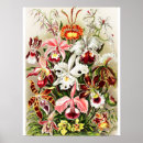 Recherche de plantations posters Colorful