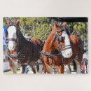 Recherche de cheval de clydesdale puzzles Chevaux
