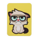 Recherche de chat drôle magnets Cool