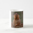 Recherche de chien de prairie tasses Animal mignon