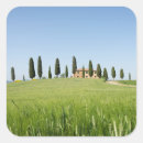 Recherche de cypr autocollants Toscane