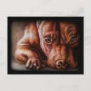 Recherche de chien pitbull cartes postales Bulle