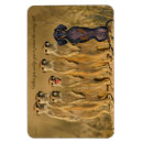 Recherche de suricate magnets Pour tous