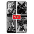 Recherche de chat blanc magnets Toute personne