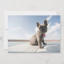 Recherche de purebreed vœux cartes French bulldog