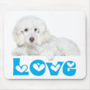 Recherche de caniches tapis souris Chiot