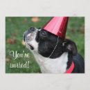 Recherche de terrier invitations Noir et blanc