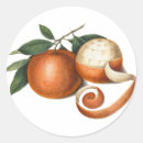 Recherche de fruit vintage autocollants Orange