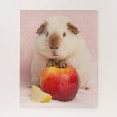 Recherche de de caverne puzzles Animal