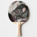 Recherche de rat raquettes ping pong Mignon