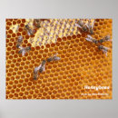 Recherche de ruche art Orange