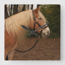 Recherche de riders horloges Horse