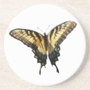 Recherche de photos papillons de dessous de verres Insecte