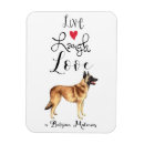 Recherche de malinois magnets Chien
