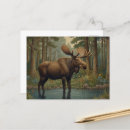 Recherche de verdure cartes postales Forêt
