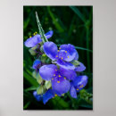 Recherche de araignée posters Pour enfants