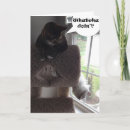 Recherche de chat blanc vœux cartes Poupée