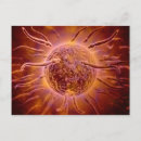 Recherche de spermies cartes postales 3d